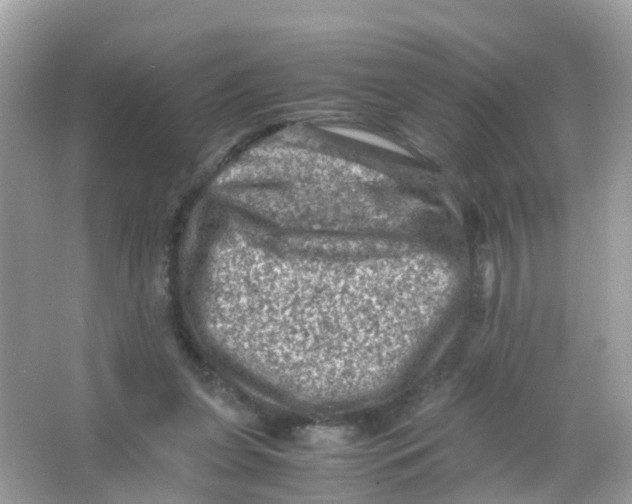 X0000065980255200603241947