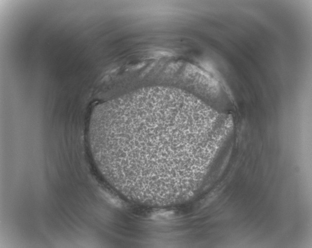 X0000065980257200603241947