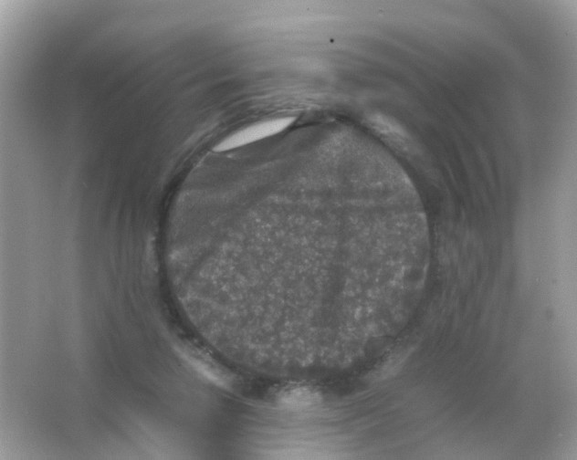 X0000065980258200603241947