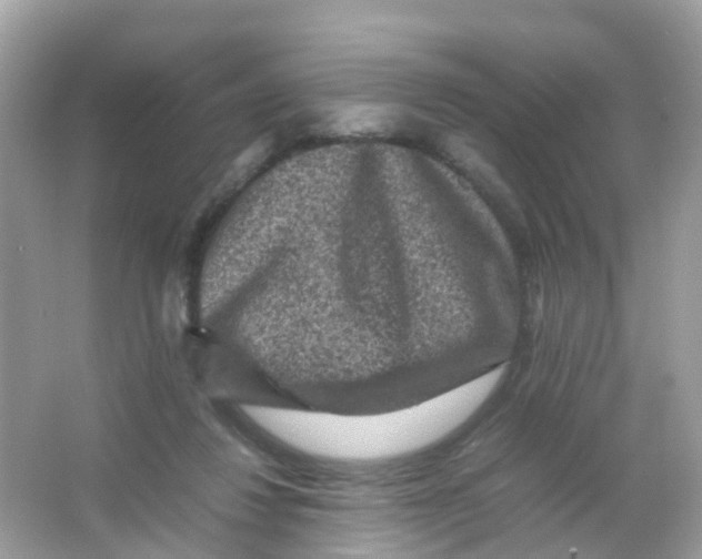 X0000065980260200603241947