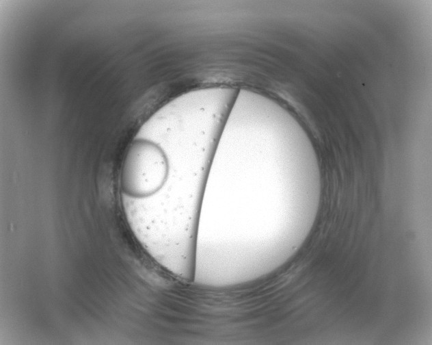 X0000065980261200603241947