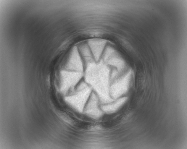 X0000065980262200603241947