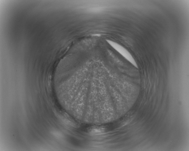 X0000065980263200603241947