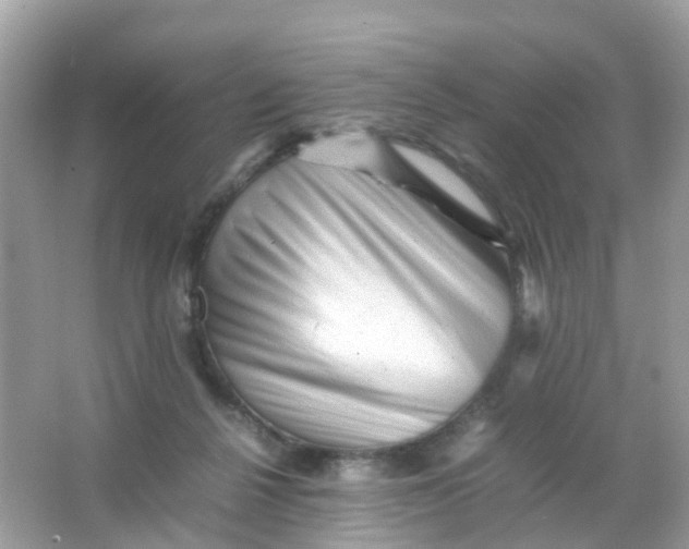 X0000065980264200603241947