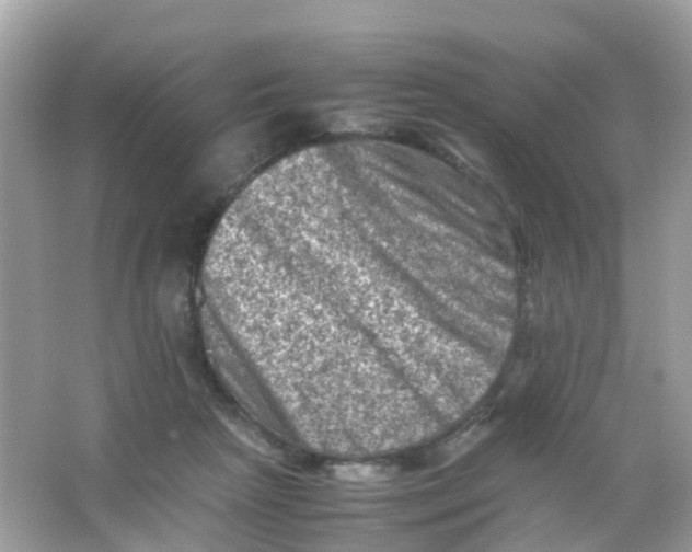 X0000065980265200603241947