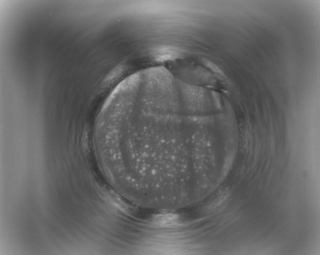 X0000065980266200603241947