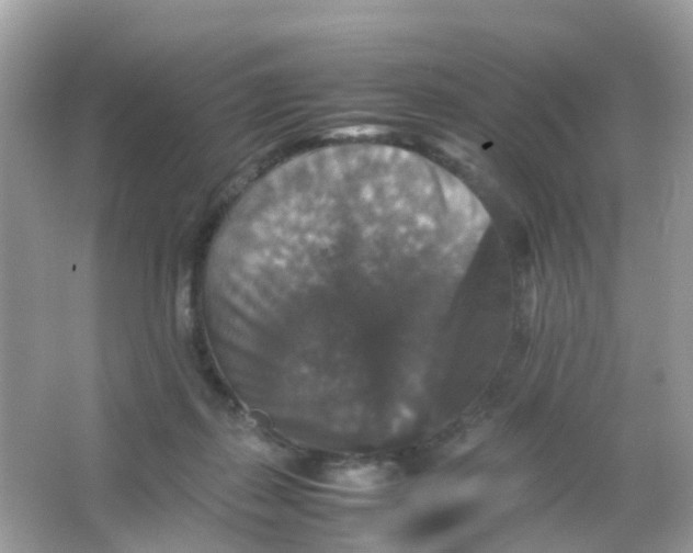 X0000065980267200603241947