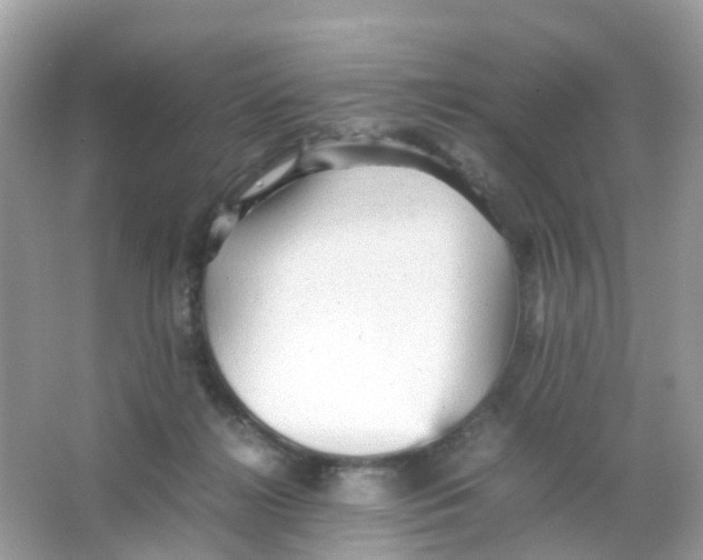 X0000065980268200603241947