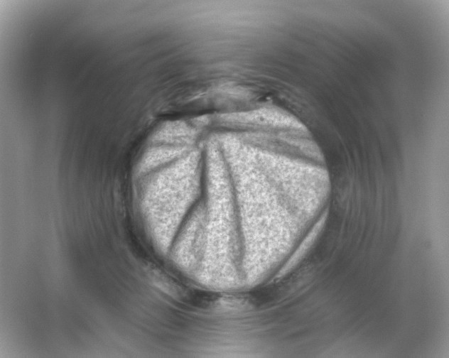 X0000065980270200603241947