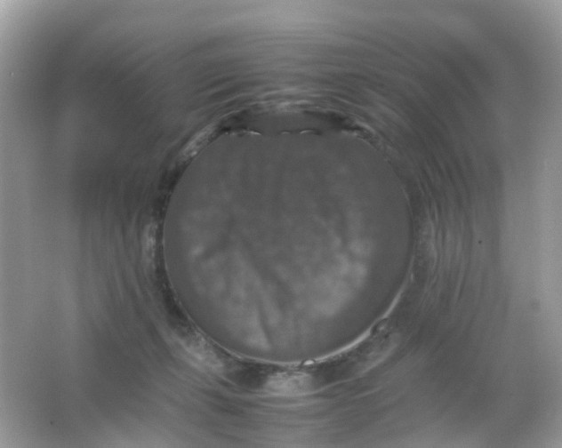 X0000065980271200603241947