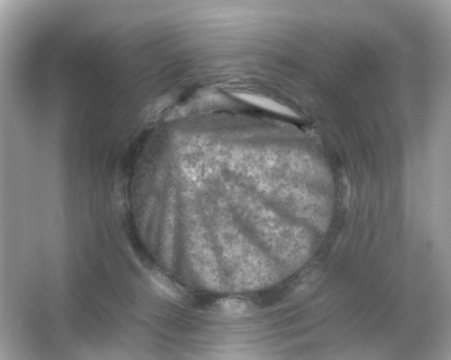 X0000065980272200603241947