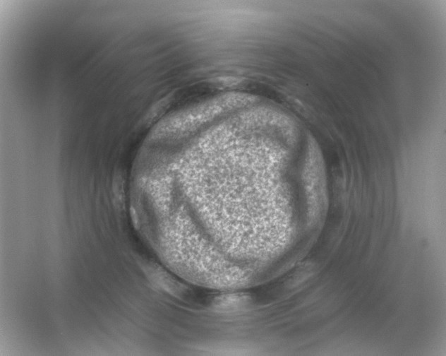 X0000065980274200603241947