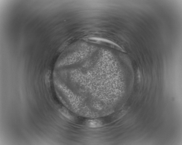 X0000065980275200603241947