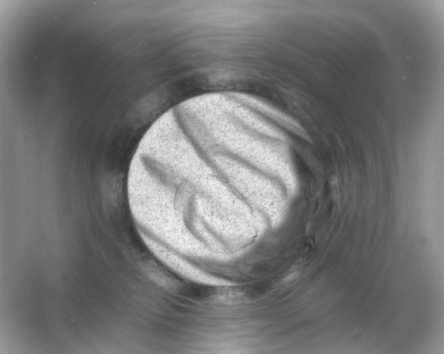 X0000065980278200603241947