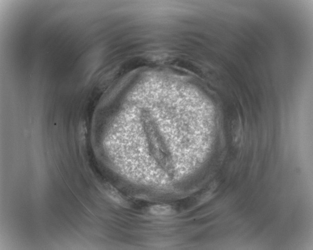 X0000065980279200603241947