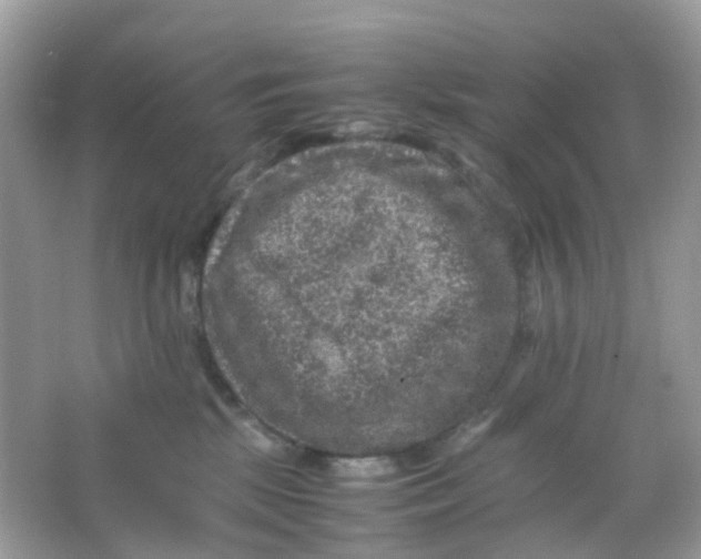 X0000065980281200603241947