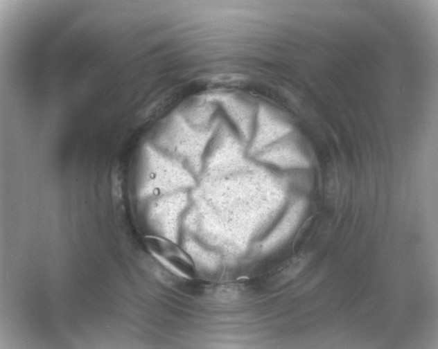 X0000065980282200603241947