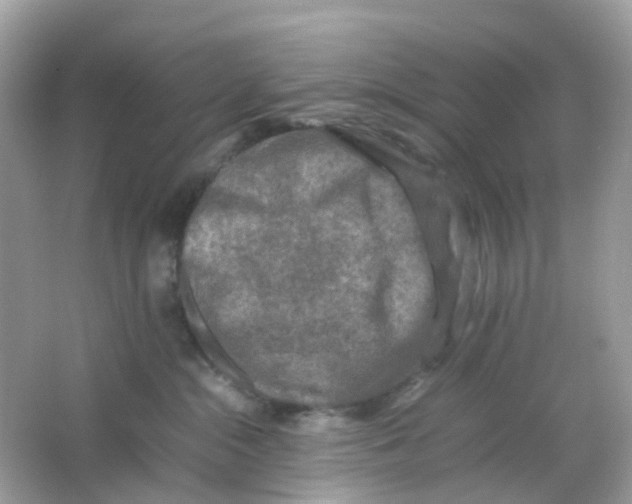 X0000065980284200603241947