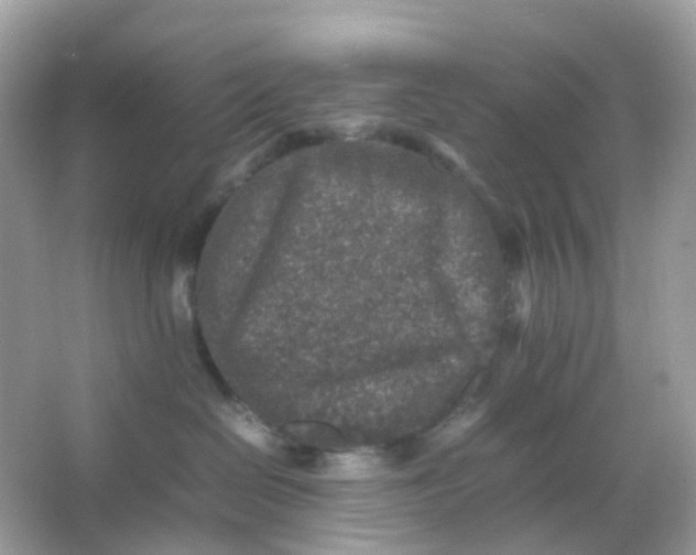 X0000065980286200603241947