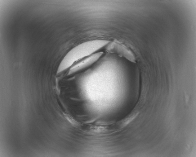 X0000065980288200603241947