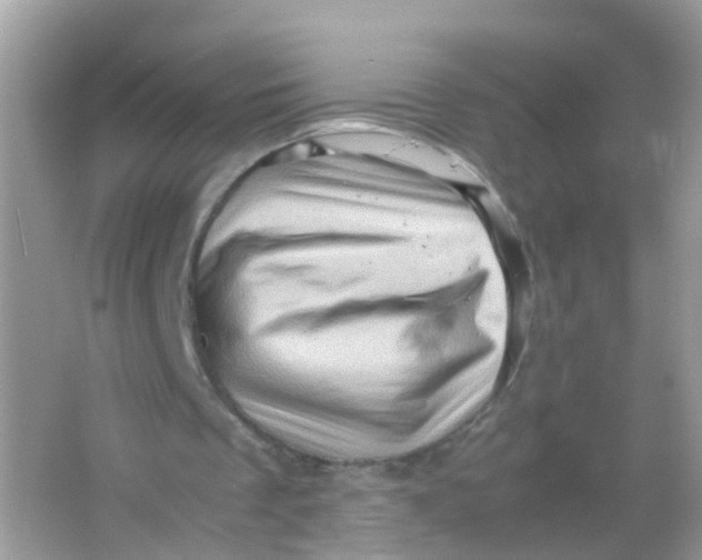 X0000065980289200603241947