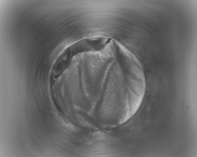 X0000065980290200603241947