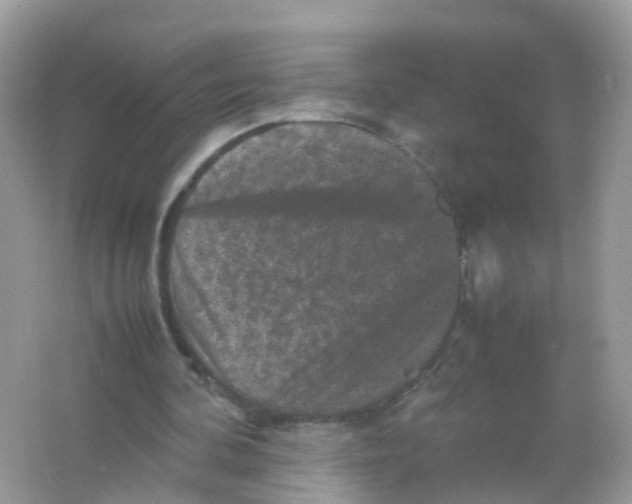 X0000065980292200603241946