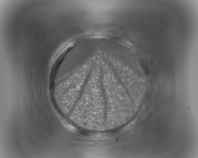 X0000065980293200603241946