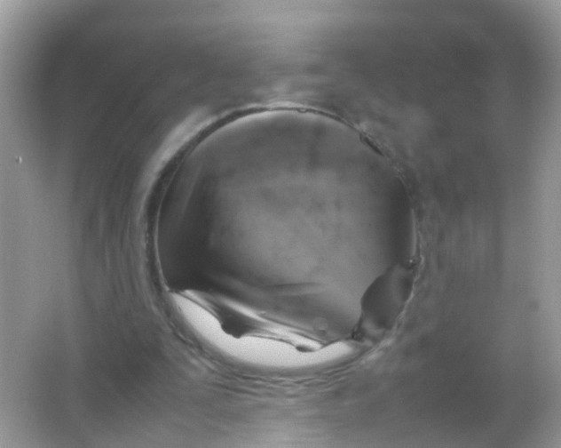 X0000065980295200603241946