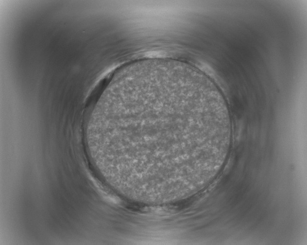 X0000065980297200603241946