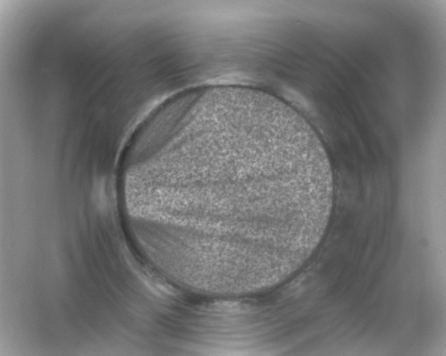 X0000065980298200603241946