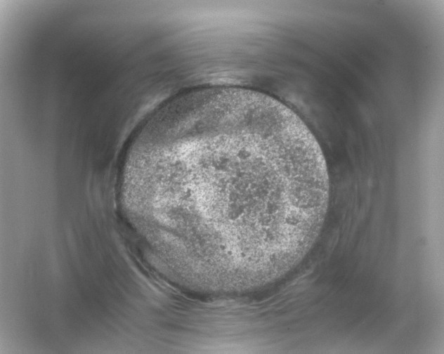 X0000065980299200603241946