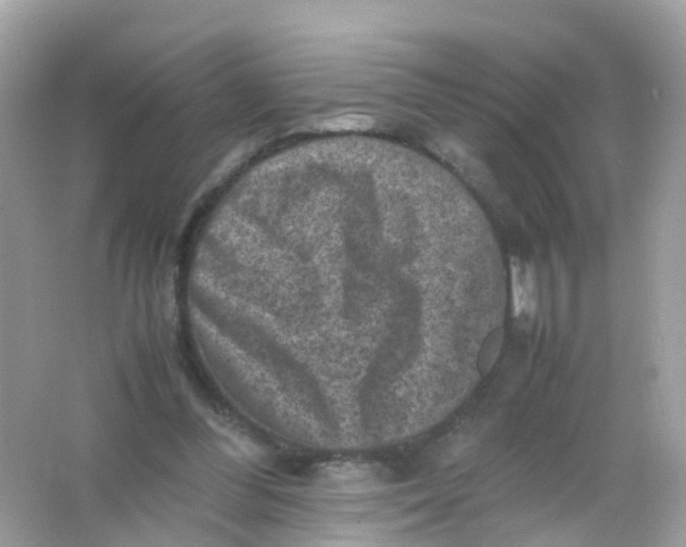 X0000065980300200603241946