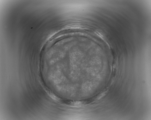 X0000065980301200603241946