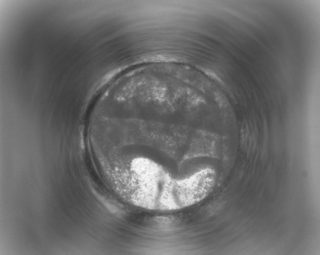 X0000065980302200603241946