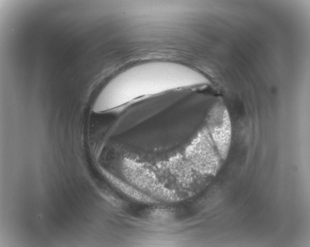 X0000065980303200603241946