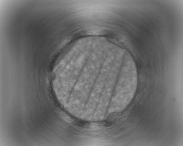 X0000065980305200603241946