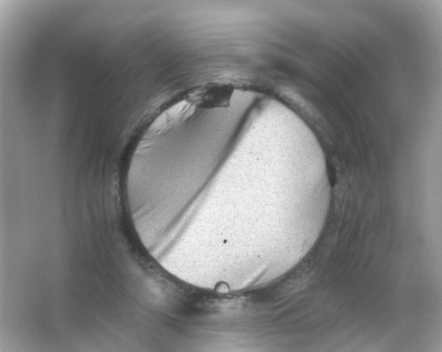 X0000065980306200603241946