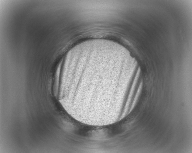 X0000065980307200603241946