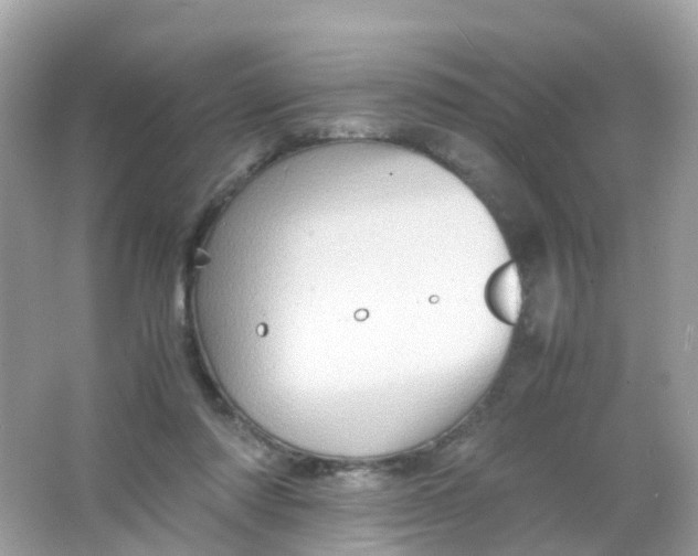 X0000065980310200603241946