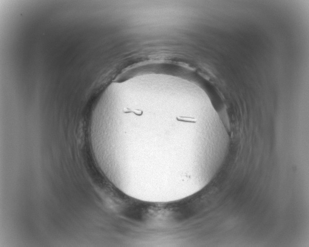 X0000065980311200603241946