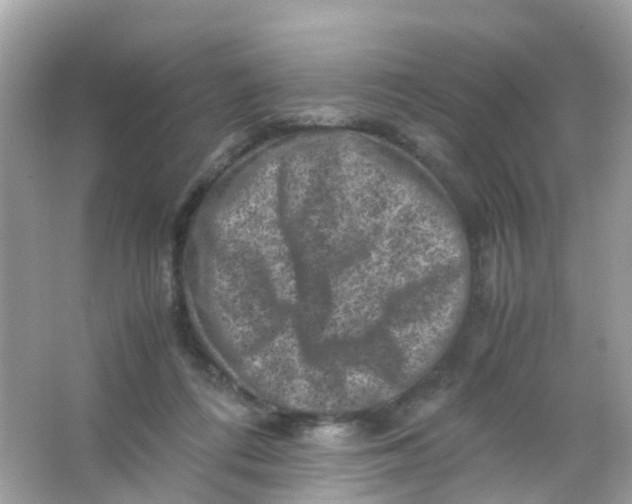 X0000065980312200603241946