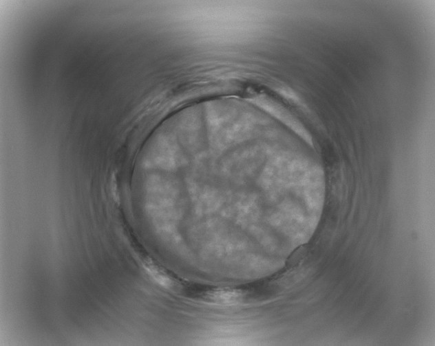 X0000065980313200603241946