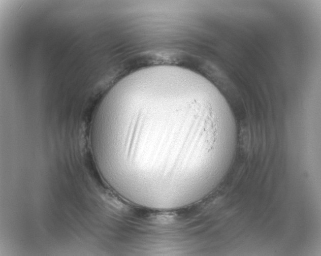 X0000065980318200603241946