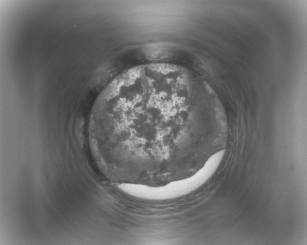 X0000065980319200603241946