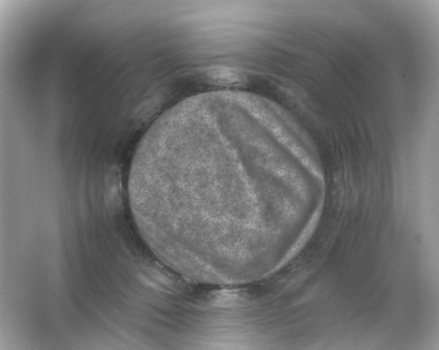 X0000065980320200603241946