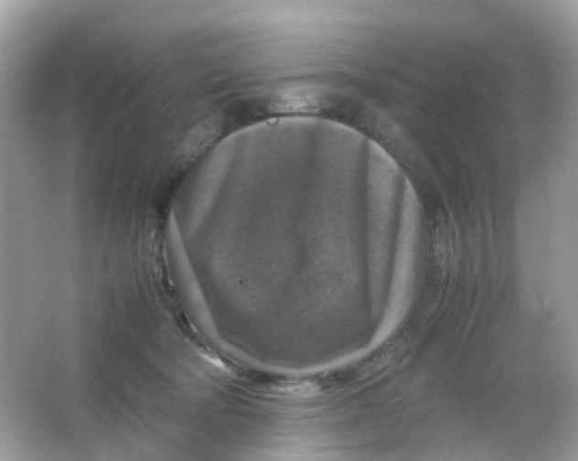 X0000065980322200603241946