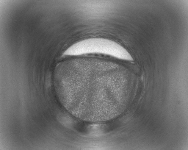 X0000065980323200603241946