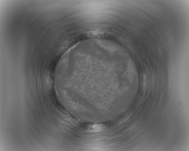 X0000065980324200603241946