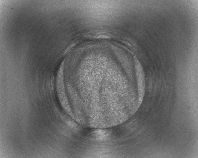 X0000065980326200603241946